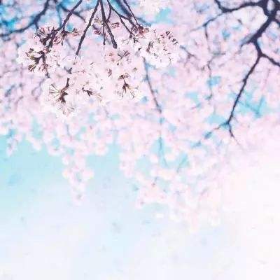 买大小单双彩票app